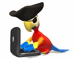 pirate_parrot_on_computer