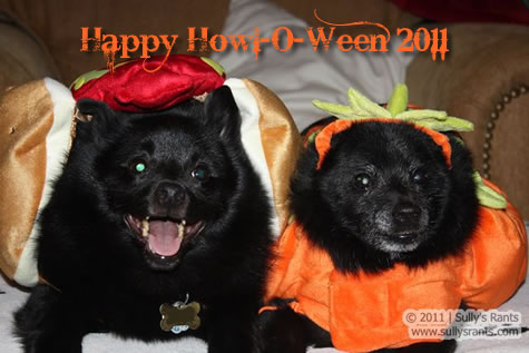 Happy Howl-O-Ween